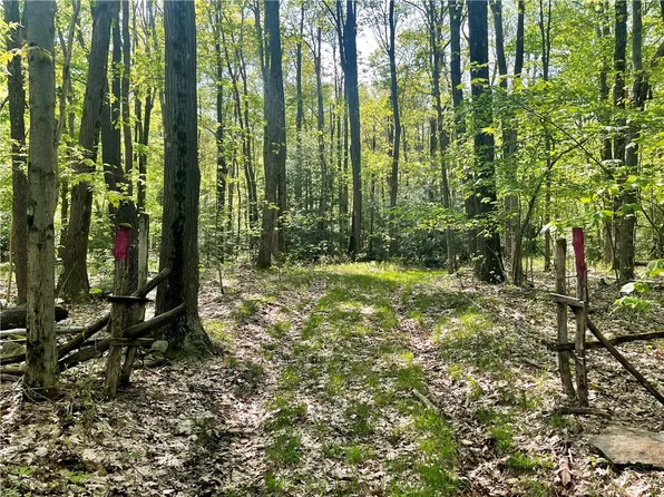 0 Vought Rock Rd, Garrett, PA 15542