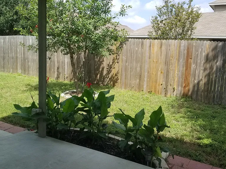 453 Wind Gust — Photo 11