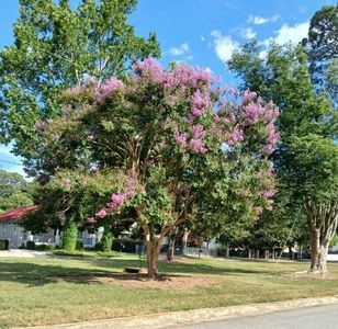0 Chesterfield St N, Aiken, SC, 29801