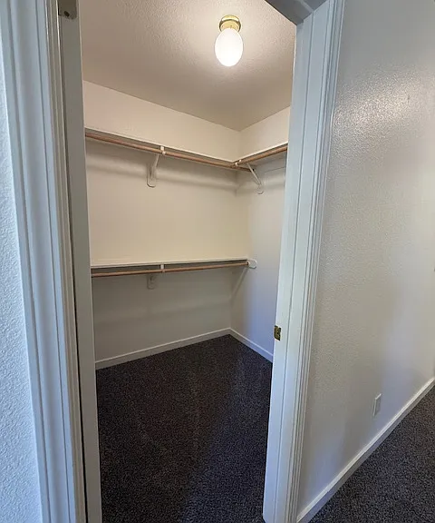 3753 Via Santa Barbara — Photo 14