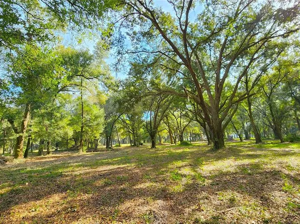 0 Elwood Rd #5, Zephyrhills, FL 33540
