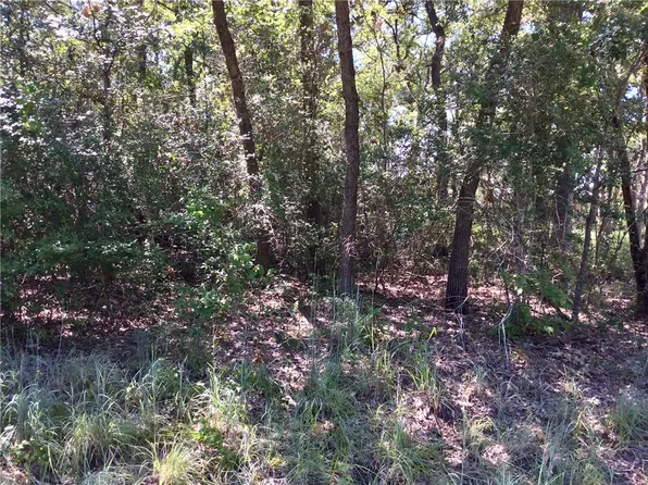 Wolf Run St, Somerville, TX 77879