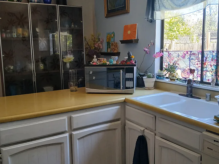 1165 Santa Cruz Way — Photo 6