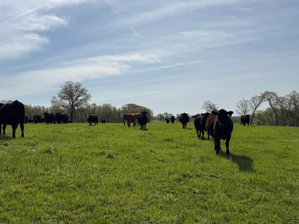 0000 Baker Creek County Road, Mansfield, MO 65704