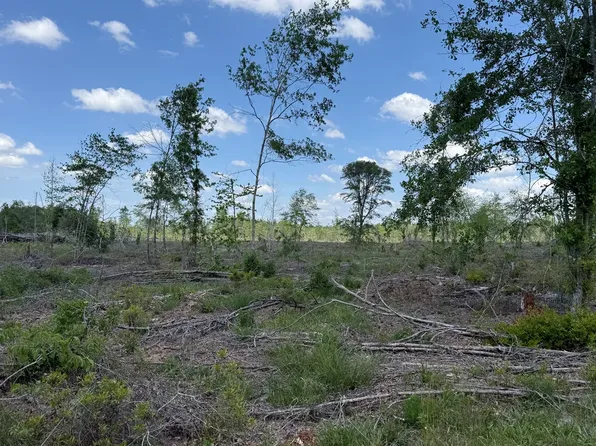 Fryer Rd, Blakely, GA 39823