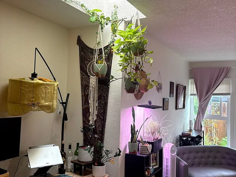 3359 Landis St #B — Photo 10