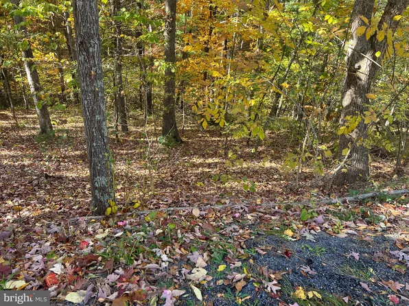 11 Brawley Ln, Basye, VA 22810