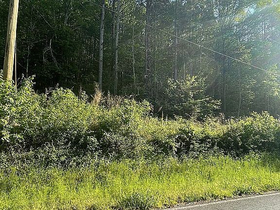 4th image of 0 Lower Gordon Springs Rd
