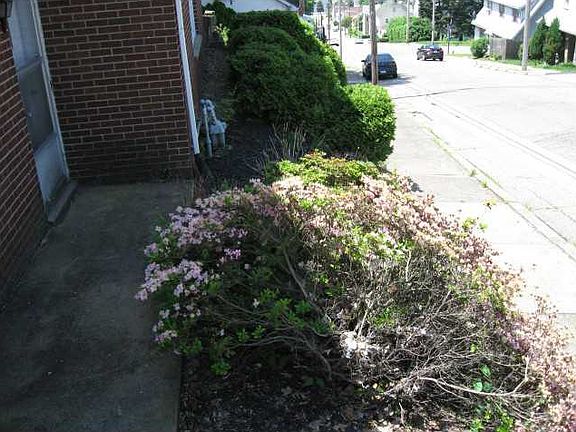 5th image of 1933 Orchard Moon Blvd #29