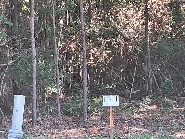 1st image of State Highway 424 Lot 1
