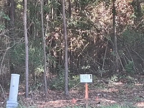 State Highway 424 Lot 1, Franklinton, LA 70438