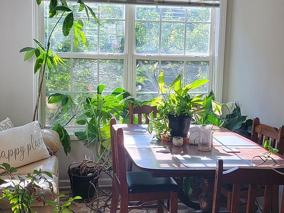 Picture of Sun Room - Hope you love Plants!! We do!