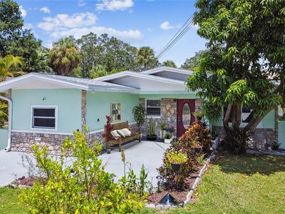 717 Virginia Ave, Tarpon Springs, FL, 34689