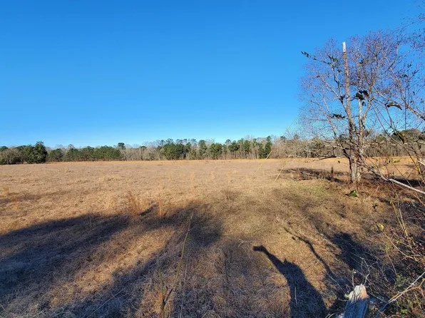 Sandtown Rd #1, Millbrook, AL 36054