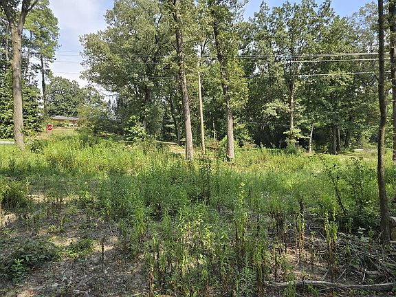 5th image of 0 Carbondale Rd SW