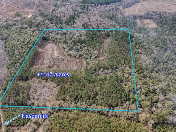 4769 Davis Rd, Florala, AL 36442