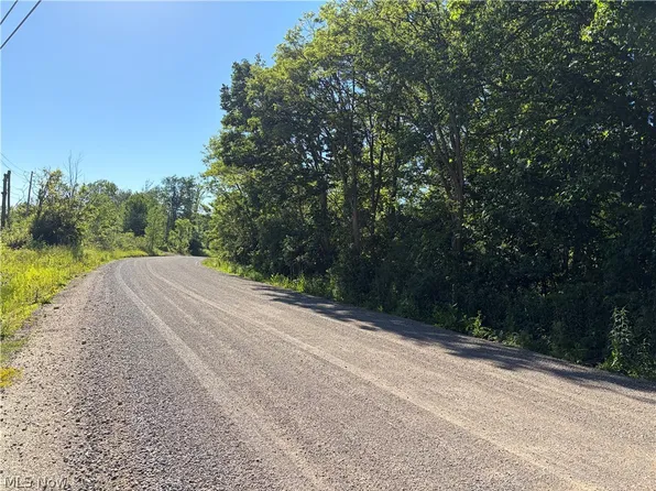 0 S Ridge Rd W, Conneaut, OH 44030