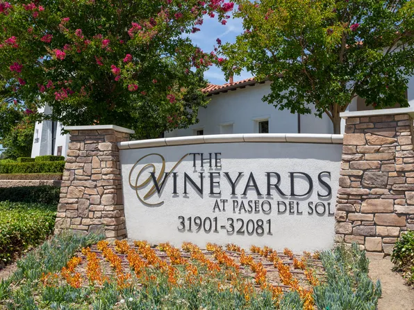 Vineyards at Paseo Del Sol