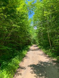 M6L32 Timberland Pass, Dixfield, ME, 04224