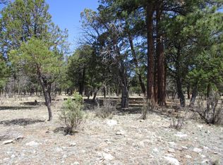 3596 Durango Dr, Happy Jack, AZ 86024