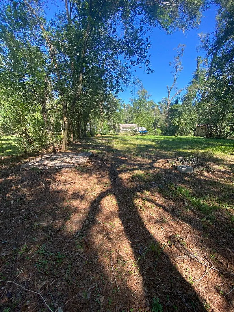 Cottage Home in Seminole Manor — Photo 3