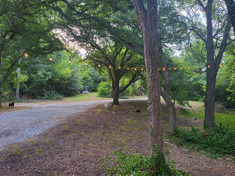 9397 Azle Hwy — Photo 34