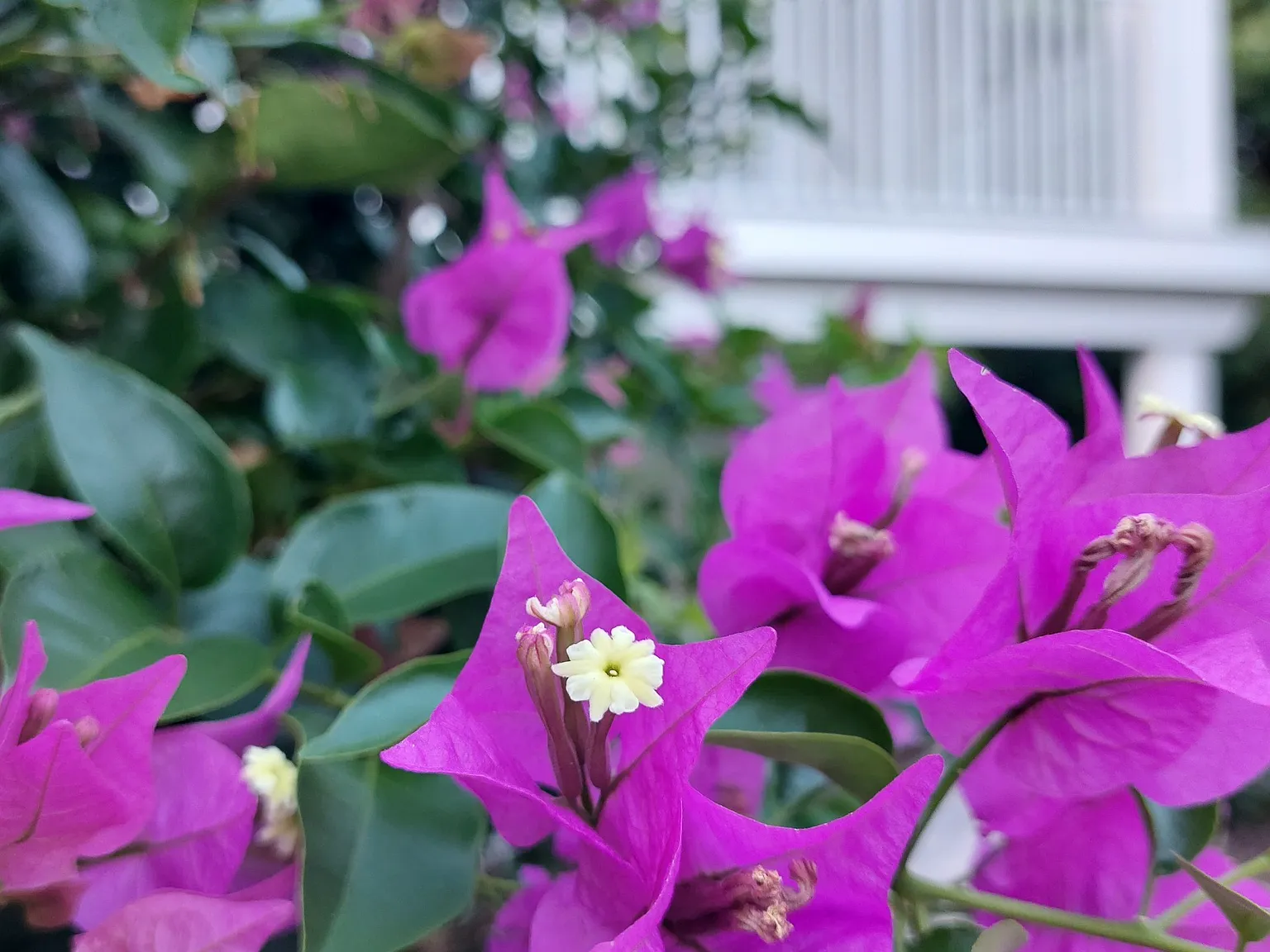 512 Periwinkle Way — Photo 4