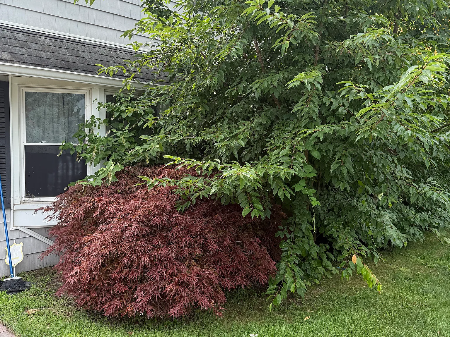Spindle Rd, Hicksville — Photo 2