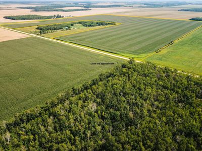 330th Ave, Badger, MN, 56714