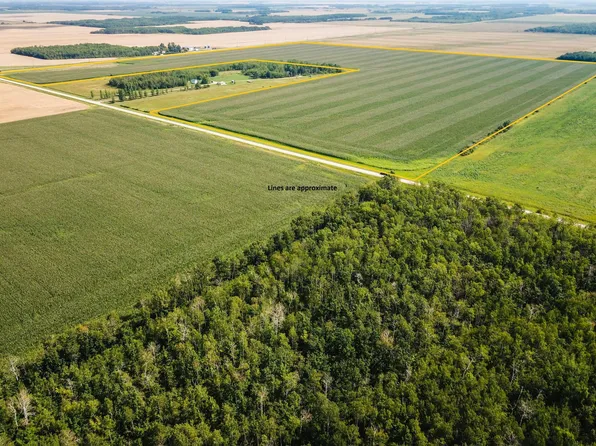 330th Ave, Badger, MN 56714