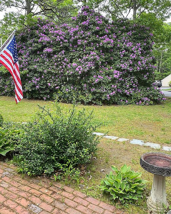Front patio