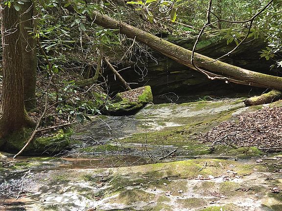 5th image of 2 Mullins Point Rd