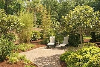 2nd image of 6229 Tortoise Ln