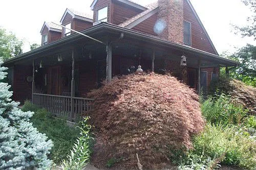 695 Geigel Hill Rd photo 1