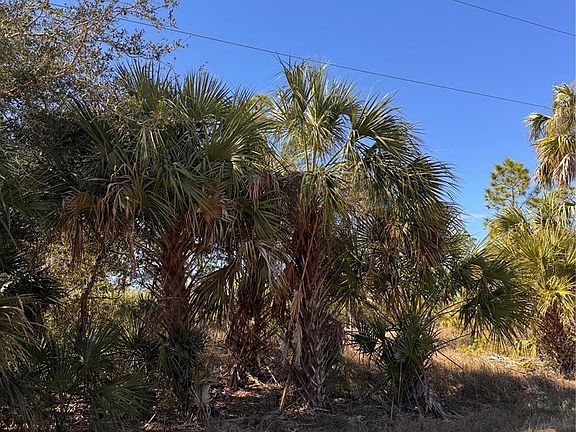 2nd image of 151 BAMBOO DRIVE
