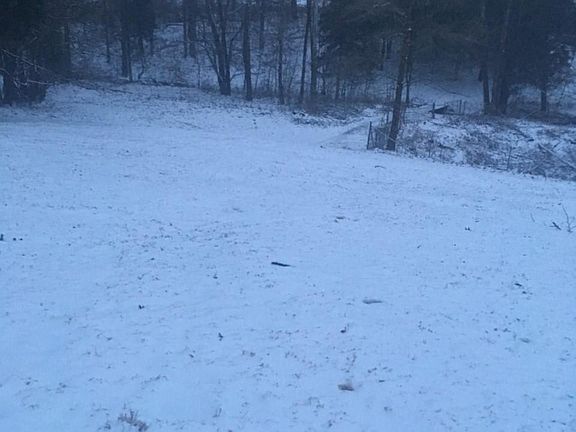 2nd image of 342 Dogwood Cir