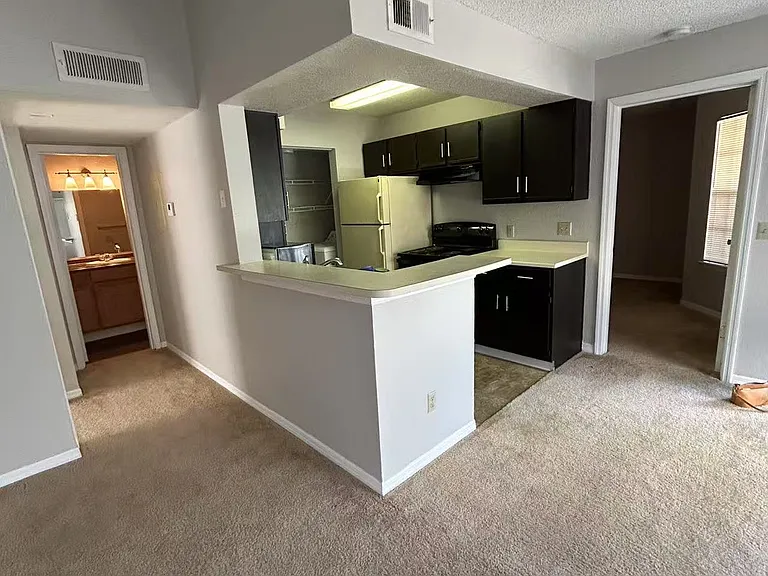 1029 S Hiawassee Rd #2424 — Photo 3