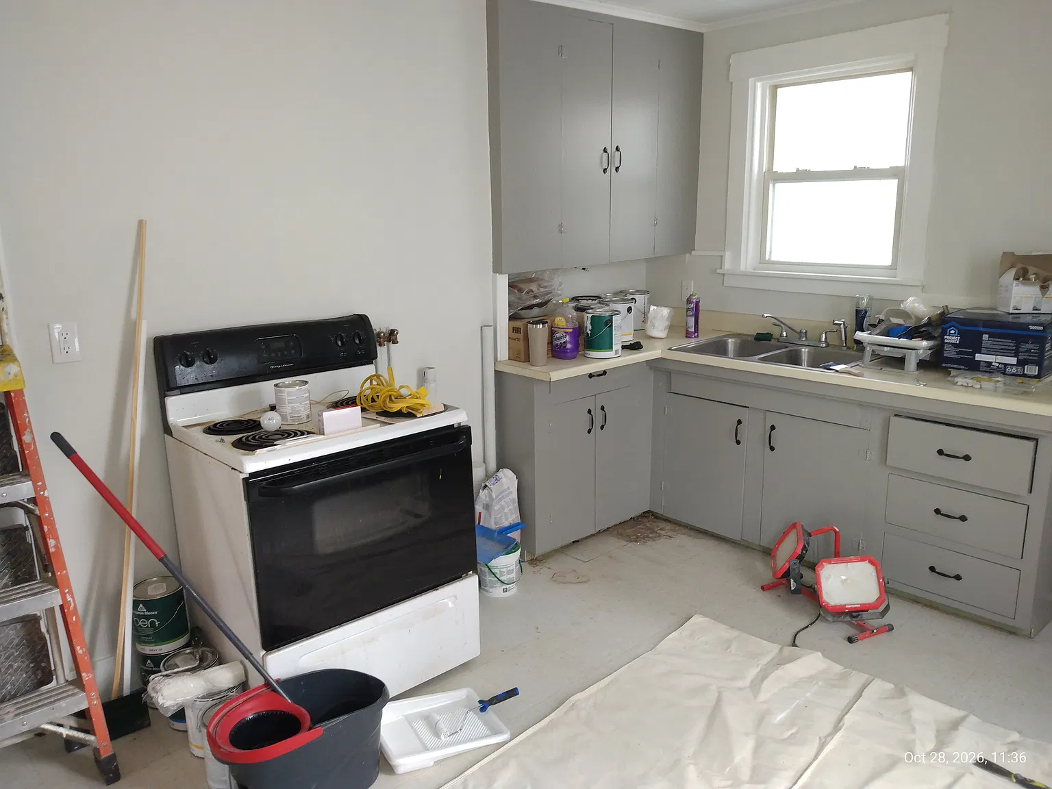 1 bed, $1,300 — Photo 4