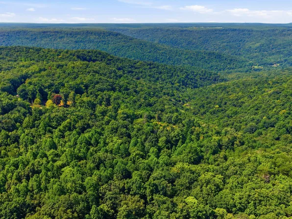 624 Coyote Trl, Spencer, TN 38585