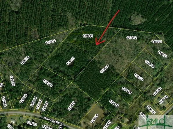11.97 Acres Briar Bay Road, Riceboro, GA 31323