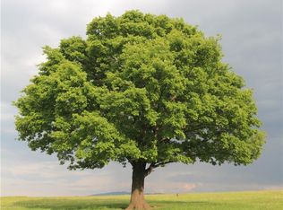 72 Velgouse Rd, Oakdale, CT 06370