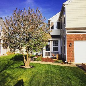 25305 S Colligan St, Manhattan, IL, 60442