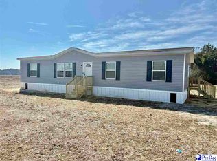 1487 Old Hamer Rd, Hamer, SC 29574