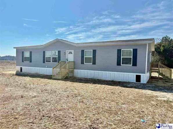 1487 Old Hamer Rd, Hamer, SC 29574