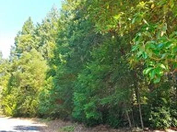 12611 Silver Drive, Anderson Island, WA 98303