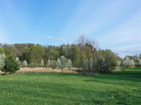 416 Chippewa St, Buchanan, MI 49107