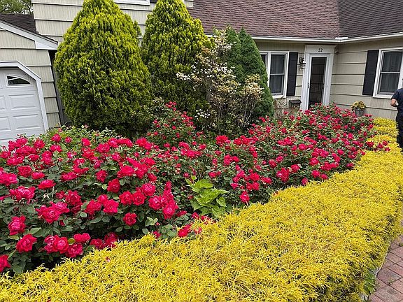 2nd image of 52 Richbell Rd