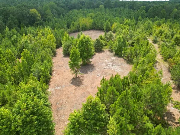 4 County Road 1174, Goshen, AL 36035