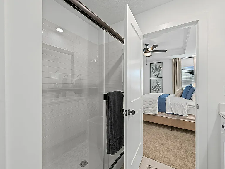 Primary Bathroom Shower