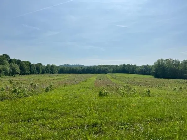 0 Region Reedyville Rd, Roundhill, KY 42275